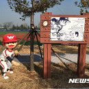 독고탁야구장 뉴시스