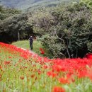 옥룡사지 이미지