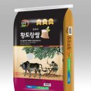 황토랑 이미지