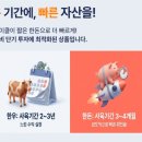 현금한돈 네이버블로그