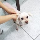 항동푸른숲동물병원 이미지
