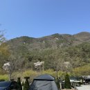 세븐일레븐괴산화양계곡점 이미지