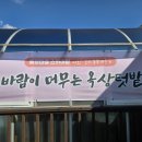참샘 어린이집 | 해피빈 후원사업, 예광마을-가곡참샘어린이집 옥상텃밭 체험 이야기