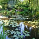 지베르니 이미지