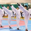 용인대 올림픽 태권도 이미지