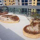 수림복국 이미지