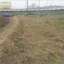 대월목장 이미지