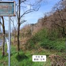 관동천 | 전남 장성 장군봉, 수련산, 떡보통산, 동구산