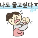 한봉제천 이미지
