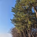 하동포구공원2 | 경남 하동 가볼 만한 곳 🌳'목도공원(하동포구공원)' : 울창한 숲과 섬진강을 동시에 품은 힐링 명소