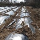 반송목장 이미지