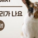 위캔두신경과의원 이미지