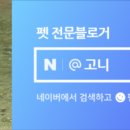 파두스 이미지
