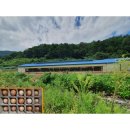 서강농장 이미지