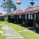 CW-0786-01 | 가평 베이커리 카페 분위기 좋은 대형 메콩카페 애견동반