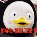 호호수제돈까스 네이버블로그