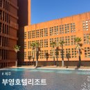 중문리조트 | [제주] 부영호텔리조트 : 아이와 함께 가기 좋은 중문 숙소 프리미엄 숙박 후기 feat. 수영장이 3개?!