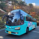 (기획투어)생태순천 이미지