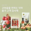 스튜디오올가