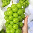 희설농장 이미지