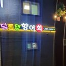 딩동댕향어회