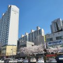 개나리공원 농구장 이미지