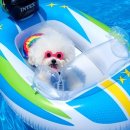 헤이풀빌라1 이미지