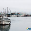 정라5통 뉴시스
