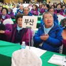 제8회 전국노인자원봉사 대축제 참가 이미지