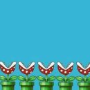 SN Fitness 이미지