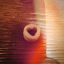 크로스핏 라텔 이미지