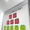 비룡점프윙스줄넘기클럽 이미지