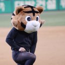호돌이크리닝 스포츠조선