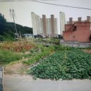 봉곡동124 이미지