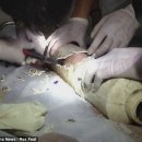 415-1-000005 이미지