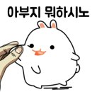 하이앤너드 이미지