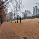 서대전육교밑 이미지