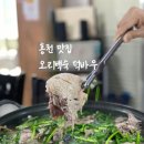 홍천 비발디파크 맛집 오리백숙 오리구이 강정 로컬 맛집 덕바우