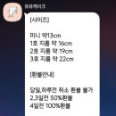 케이크뮤뮤 네이버블로그