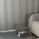 THE예쁘개 이미지
