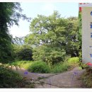 용정사 입구 이미지