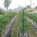 솔로몬 펜션 이미지