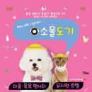 소울도기 | 소울 도기 충청남도 반려동물 다녀왔는데 와.. 기분이 달라졌어