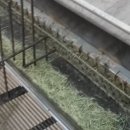 승희농장 이미지