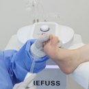 레푸스천안