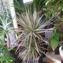 수원시 팔달구 팔달문로81번길 이미지