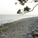 공곶이해변 이미지