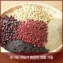 우리팜스 이미지