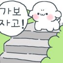 꽃집;오늘도로맨틱