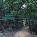 황금내근린공원 이미지